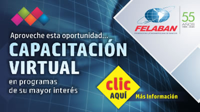 Programas de Capacitación Virtual Programas de Capacitación Virtual